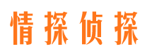 丰泽情探私家侦探公司